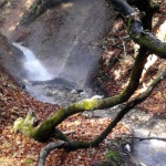 Foto0085